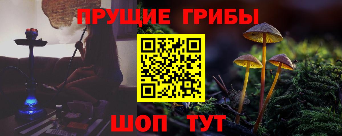 Благодарный  Галлюциногенные грибы Psilocybe  Вход с VPN 